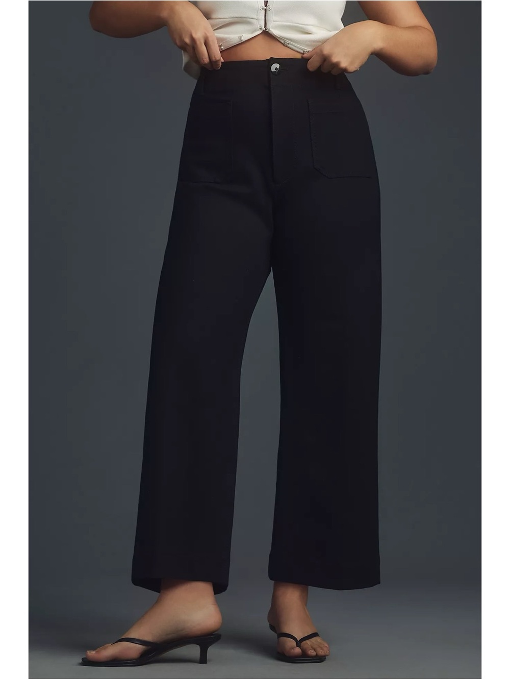 Anthropologie Maeve The Colette Ponte Crop Wide Leg Pants Black Sz 30